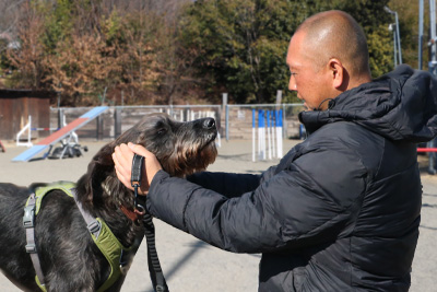 Dog Training 白拍子 イメージ