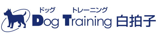Dog Training 白拍子