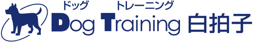 Dog Training 白拍子