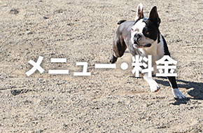 料金・メニュー